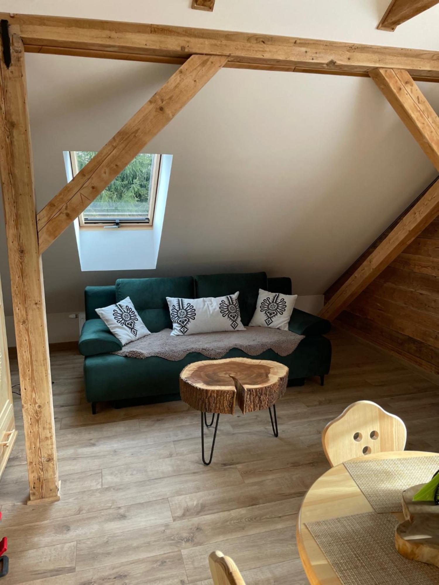 Apartamenty Krysin Закопане Екстериор снимка